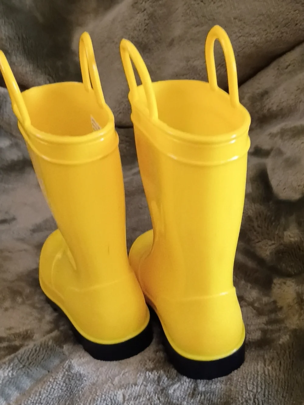 Falls Creek bold yellow